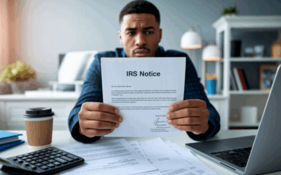 IRS audit help for individuals 2025